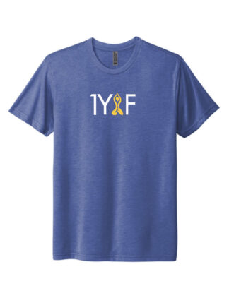 Next Level 6010 Men's Triblend Tee
